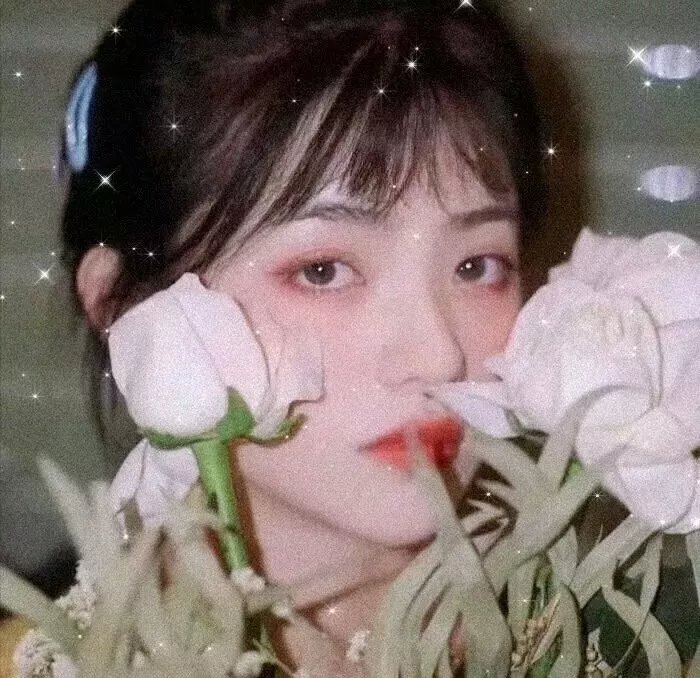 美女与纯情男